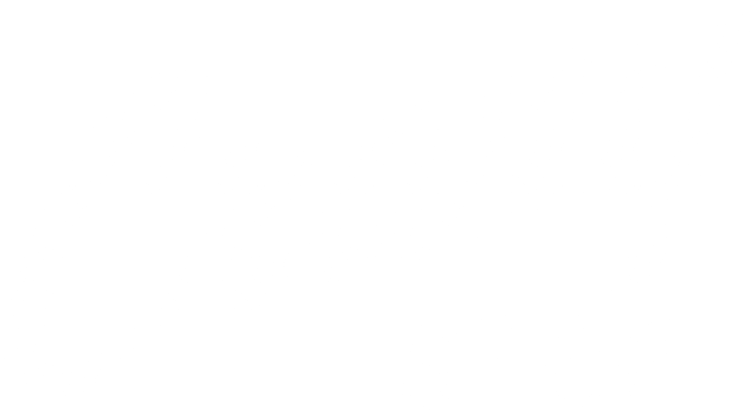 CrazyStep logo