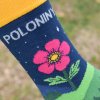 Poloniny 08