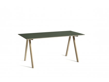 2634992049000 CPH 10 Desk L160xW80 green lino wb lacquer oak base