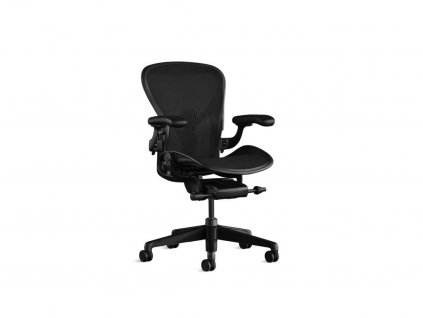 5304 1 aeron onyx b 01 600x600 crop center (1)