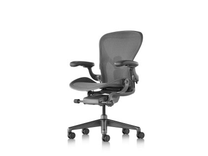 01 Herman Miller Aeron Carbon Standard