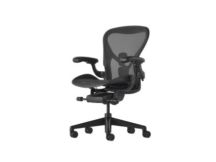 HermanMiller AERON C - Onyx 05