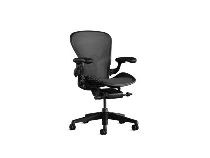 Aeron Black