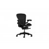 5304 1 aeron onyx b 01 600x600 crop center (1)