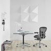 HermanMiller AERON C Exclusive 12