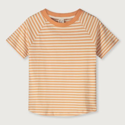 gray 2026 01 27T091747.214