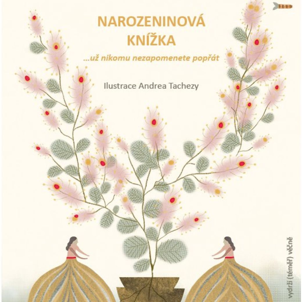 Narozeninová knížka - Pavla Köpplová, Andrea Tachezy (Ilustrátor)