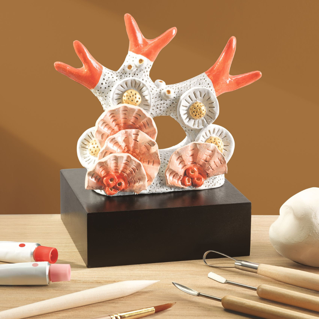 Atelier 85 - Modelování pro teenagery i dospělé - korál