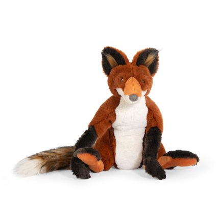 227595 renard