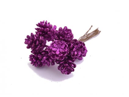 šišky fuchsie