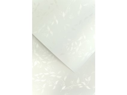 Snímek obrazovky 2023 07 24 154032