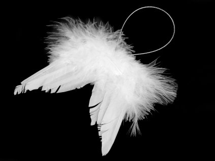 Dekorace andělská křídla malá, bílá