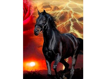 24930 1 diamantovy obrazek cerny kun 30x40cm
