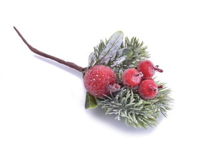 větvička jablíčko