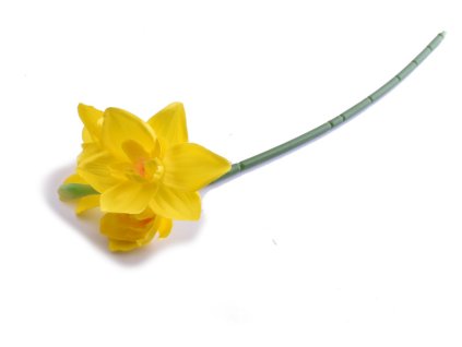 narcis1