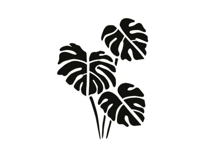 šablona monstera