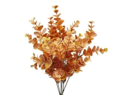 eucalyptus 36cm sv.oranz
