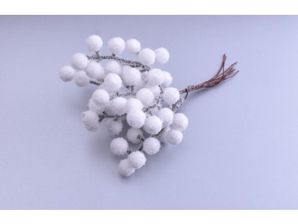 větvička bobule velké