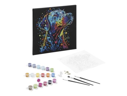 malování podle čísek pes