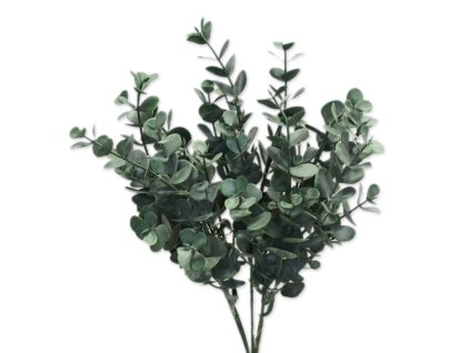 eucalyptus kerik 35cm