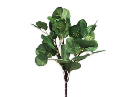 eucalyptus textil 43cm