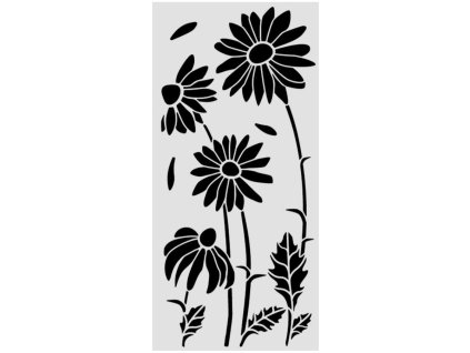 šablona sedmikráska