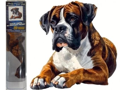 diamantovamalování boxer
