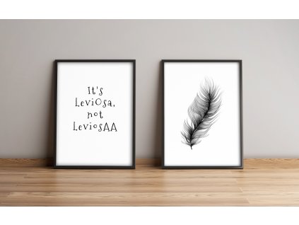 Obraz na MDF s rámem 2ks