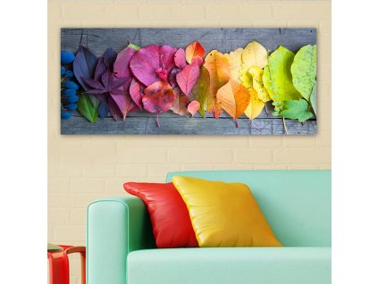 Obraz na plátně Duha z listů