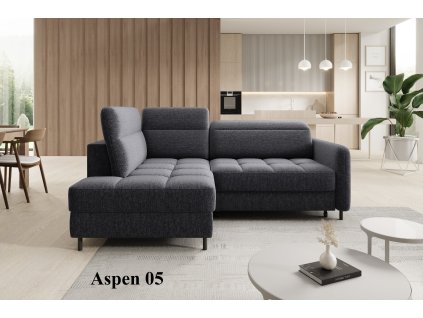Aspen 05