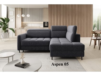 Aspen 05