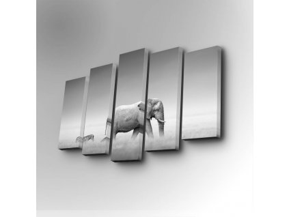 Sada nástěnných obrazů na plátně SLON 82 cm