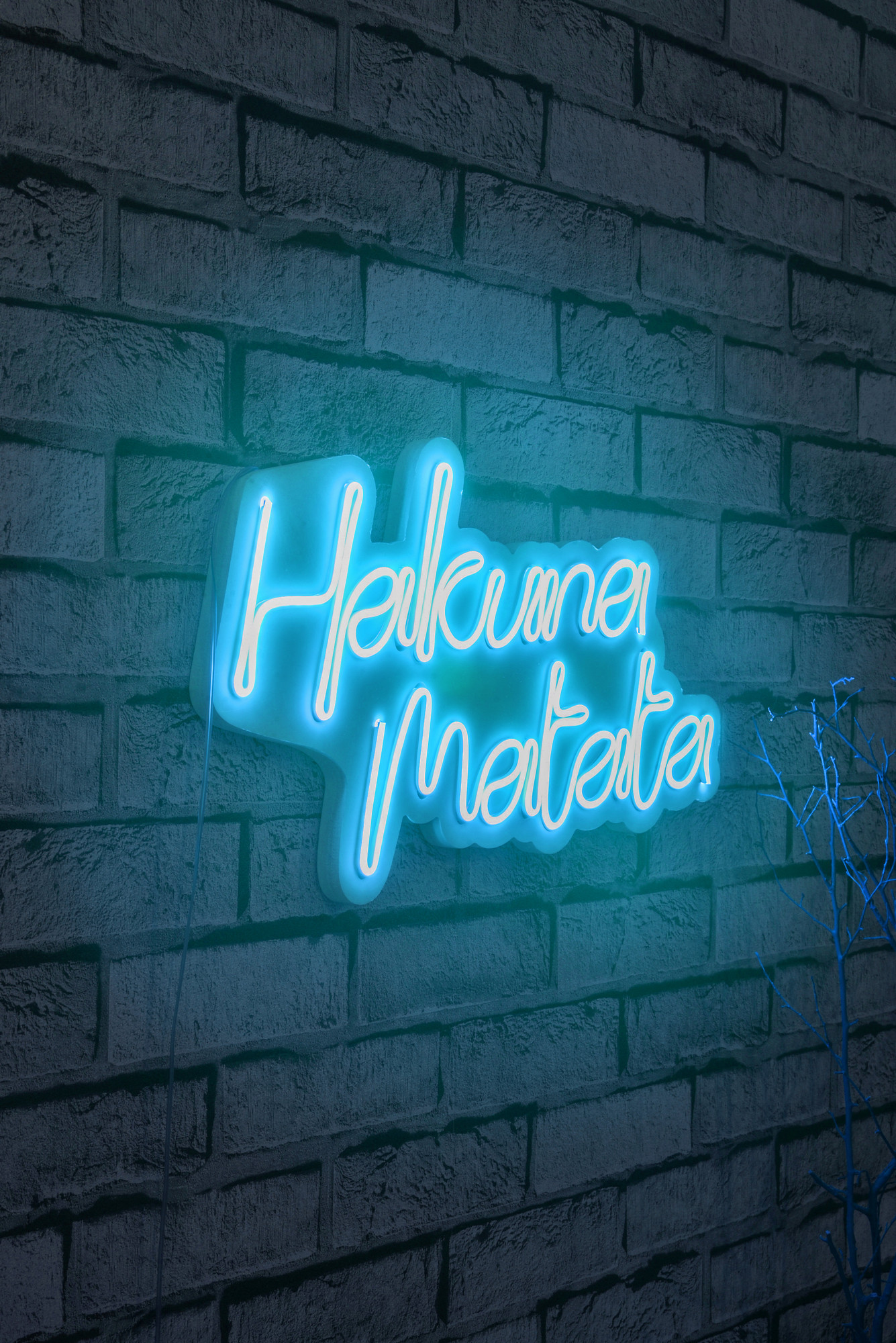 Levně Dekorativní LED osvětlení HAKUNA MATATA modrá