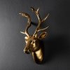 Nástěnná dekorace YAK-007 zlatá trofej jelena