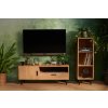 TV stolek FRISK dub 126 x 49 x 46 cm