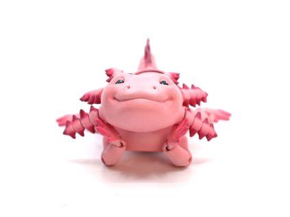 Axolotl mexický