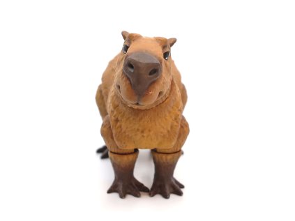 Kreativní sada Kapybara