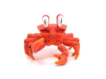 Krab plážový