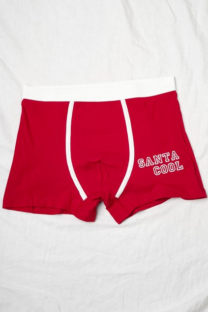 ,ponožky, vianočné ponožky, dámske ponožky, vianočný darček, darček preňho, dačer pre chlapca, darček pre muža, vianočná spodná bielizeň, pánske boxerky, vianočné boxérky, trenýrky, 01