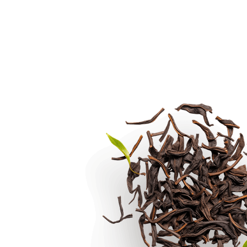 Bylinky