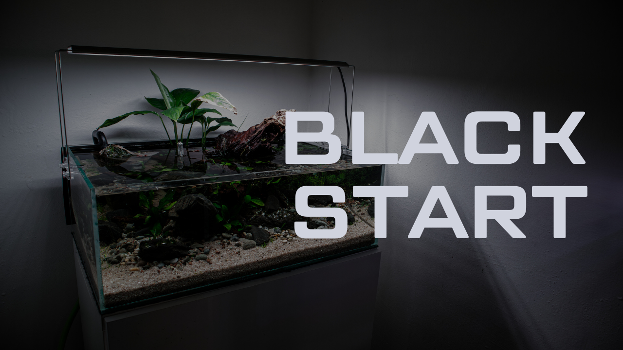 Jak založit akvárium metodou BLACK START