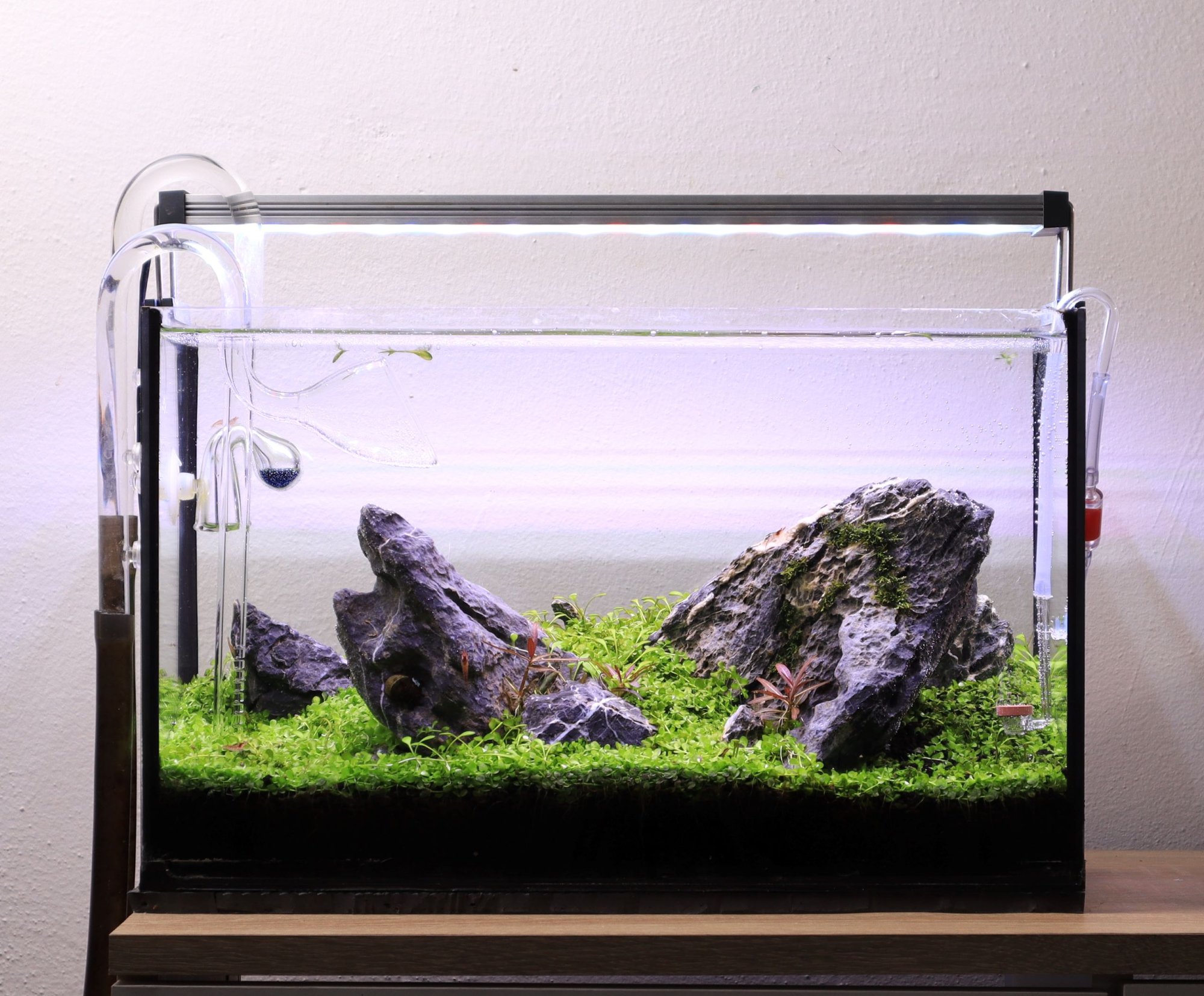 Iwagumi Nano Akvárium 20l