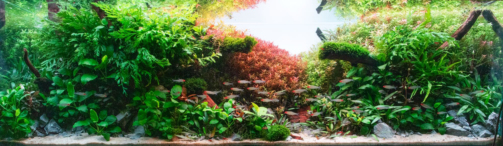 308l High tech Akvarium