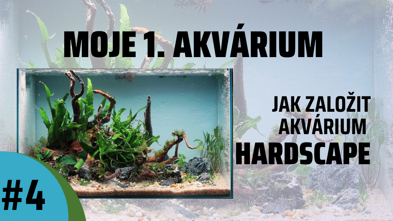 #4 - Zakládání akvária - HARDSCAPE (dekorace)