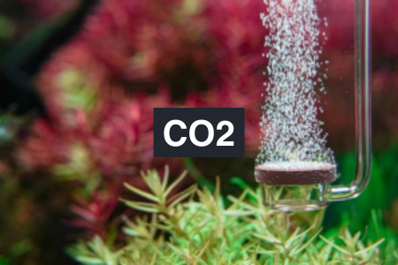 CO2