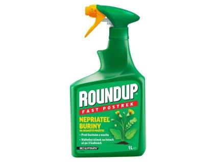 d05005e07c81062e7a767230f640ddcd