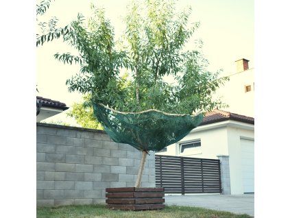 Obrázok