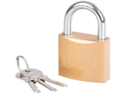 Zámok Strend Pro FT 50 mm, visiaci, zlatý