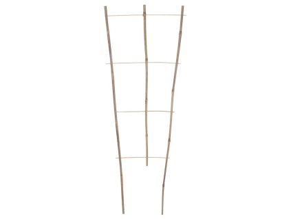 cc3fe10e9f2799faa5a7aa0bac0ba8f8