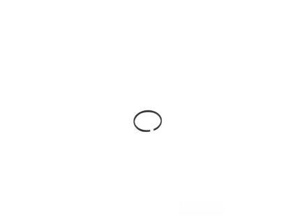 Krúžok FL2024/FL2050 olejový, diel 16